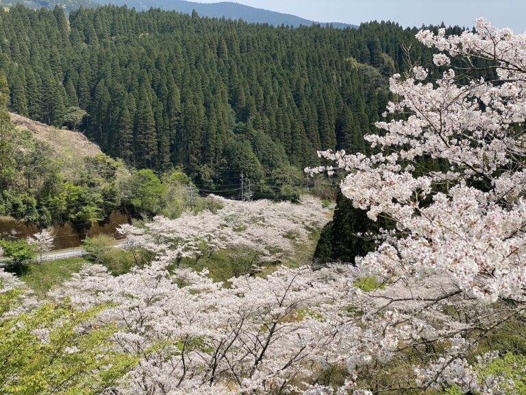 春季休暇のお知らせ