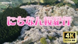 にちなん桜紀行